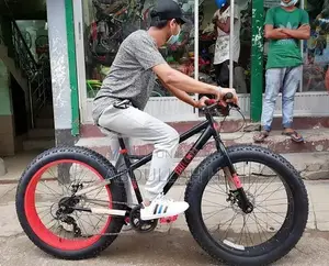 Fat Tire Bike