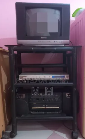 Television