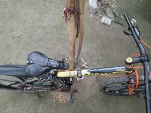 হিরো (হামার) ফোল্ড সাইকেল