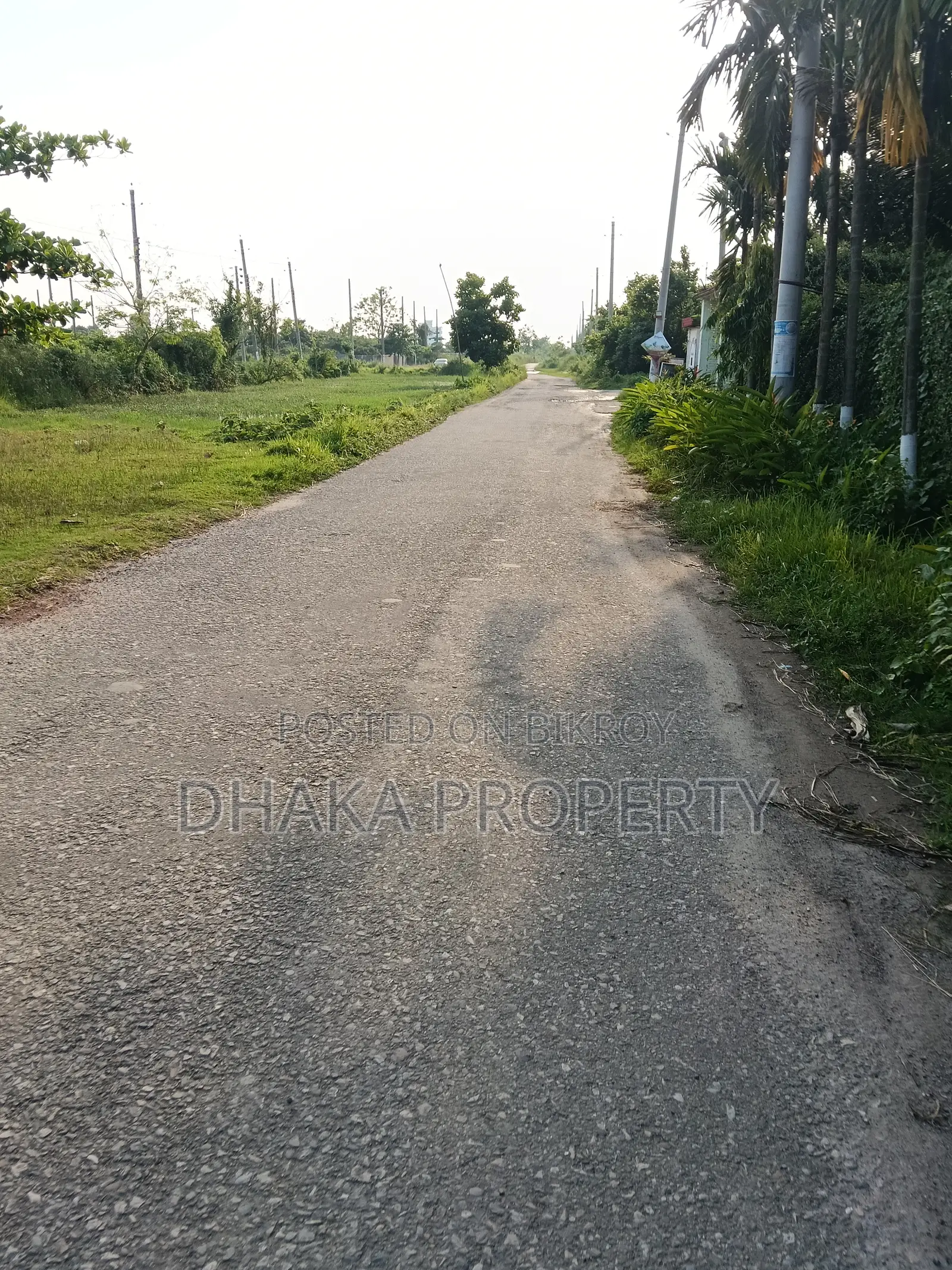 36ft Rd 3 Katha Park East at Sector-9