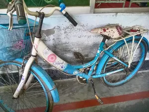 মেয়েদের বাইসাইকেল বিক্রয় হবে