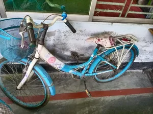 মেয়েদের বাইসাইকেল বিক্রয় হবে