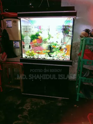 মাছ সহ একুরিয়াম বিক্রি হবে একুরিয়ামের সাইজ 24 ইঞ্চি