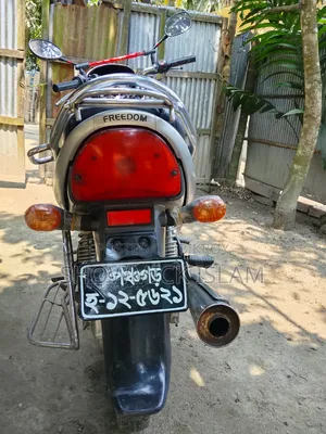 Bajaj Freedom 2019 Gray