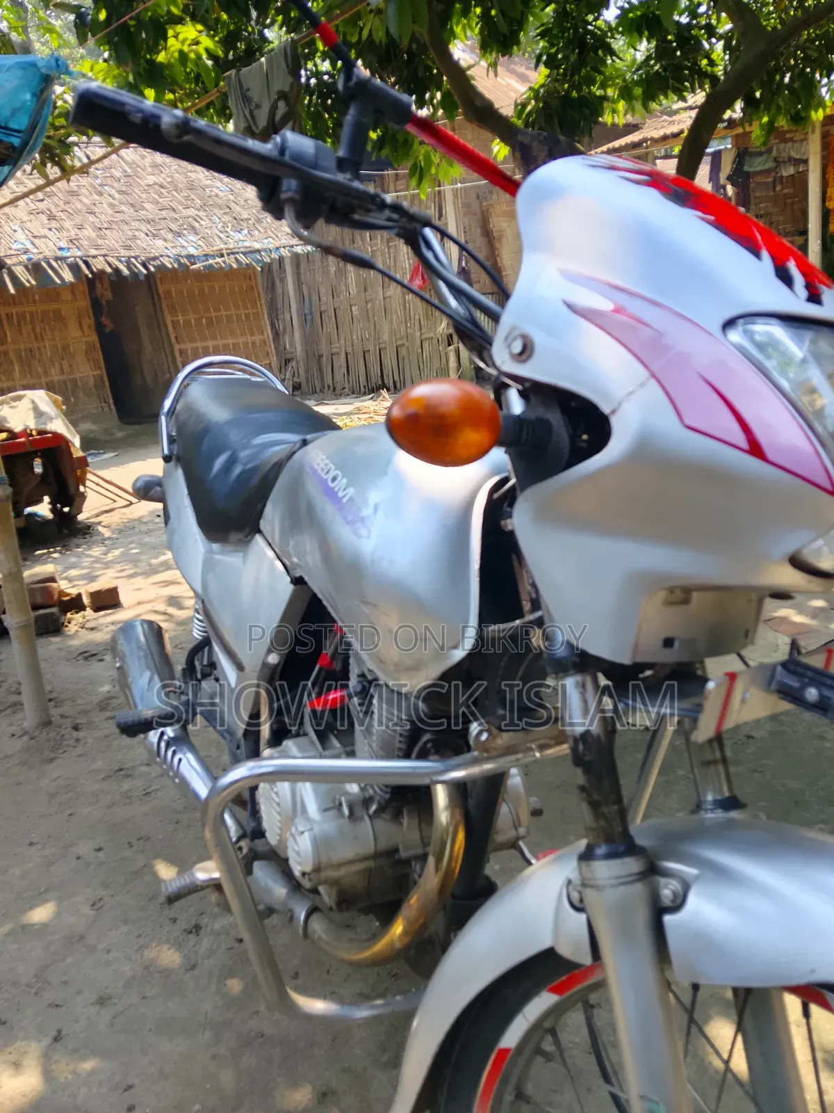 Bajaj Freedom 2019 Gray