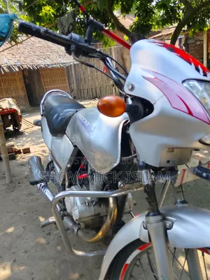 Bajaj Freedom 2019 Gray