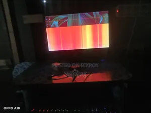 20-inch LCD Monitor (Display Problem) – Cheap Price