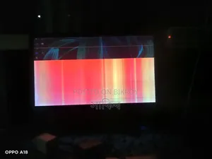 20-inch LCD Monitor (Display Problem) – Cheap Price