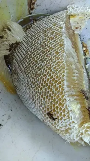 সুন্দরবনের খলিসা ফুলের মধু