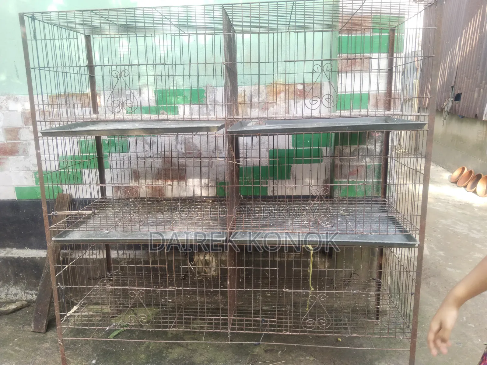 পাখি এবং মুরগি পালনের খাঁচা