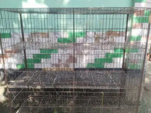 পাখি এবং মুরগি পালনের খাঁচা