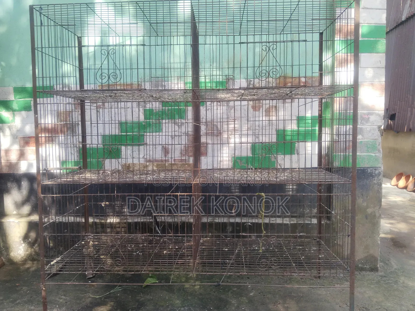 পাখি এবং মুরগি পালনের খাঁচা