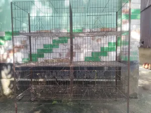 পাখি এবং মুরগি পালনের খাঁচা
