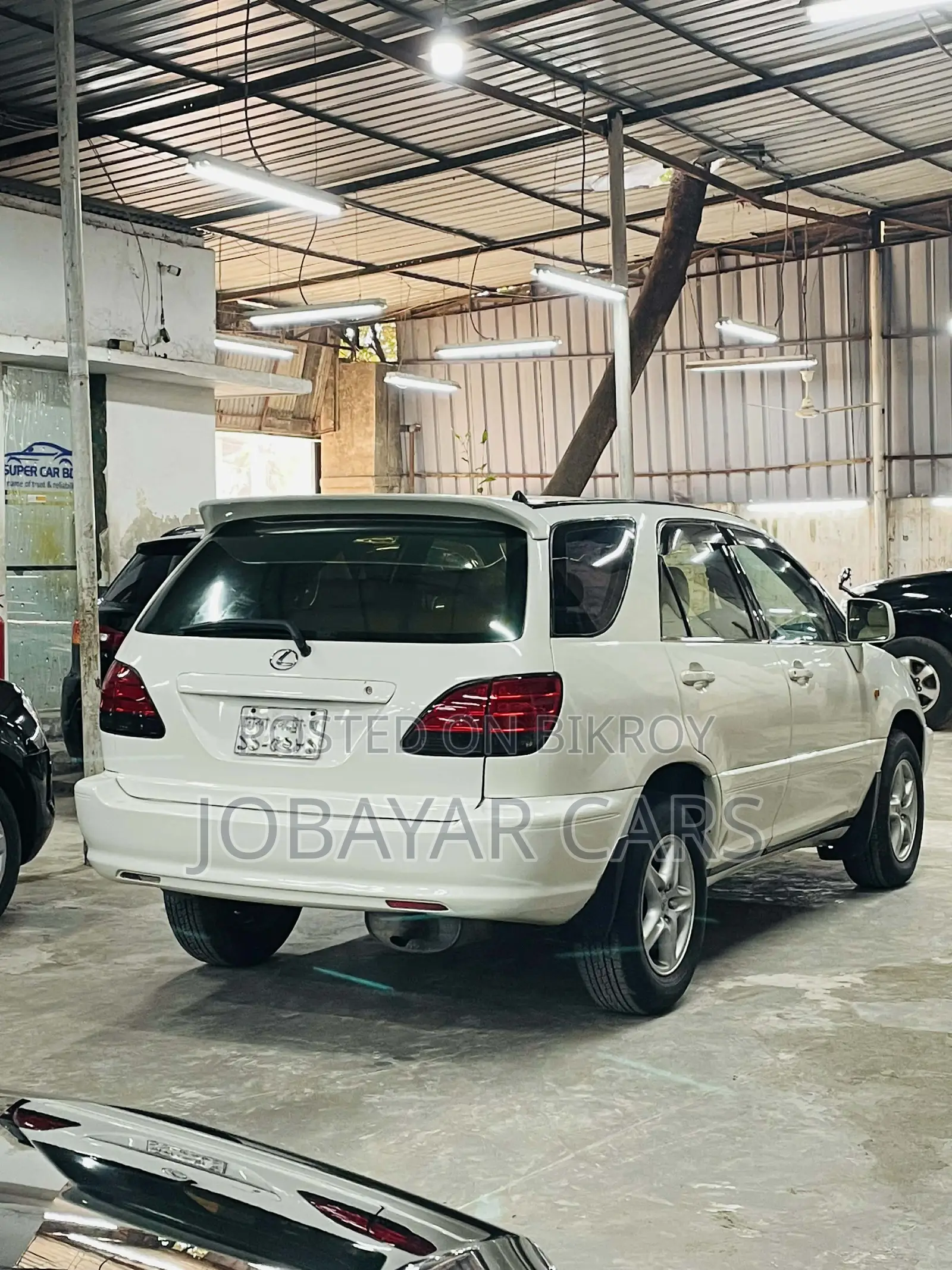 Lexus RX 1999 Pearl