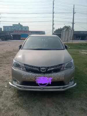 Toyota Axio 2013 Gold