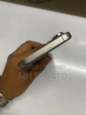 Apple iPhone 15 Pro Max 256 GB Silver