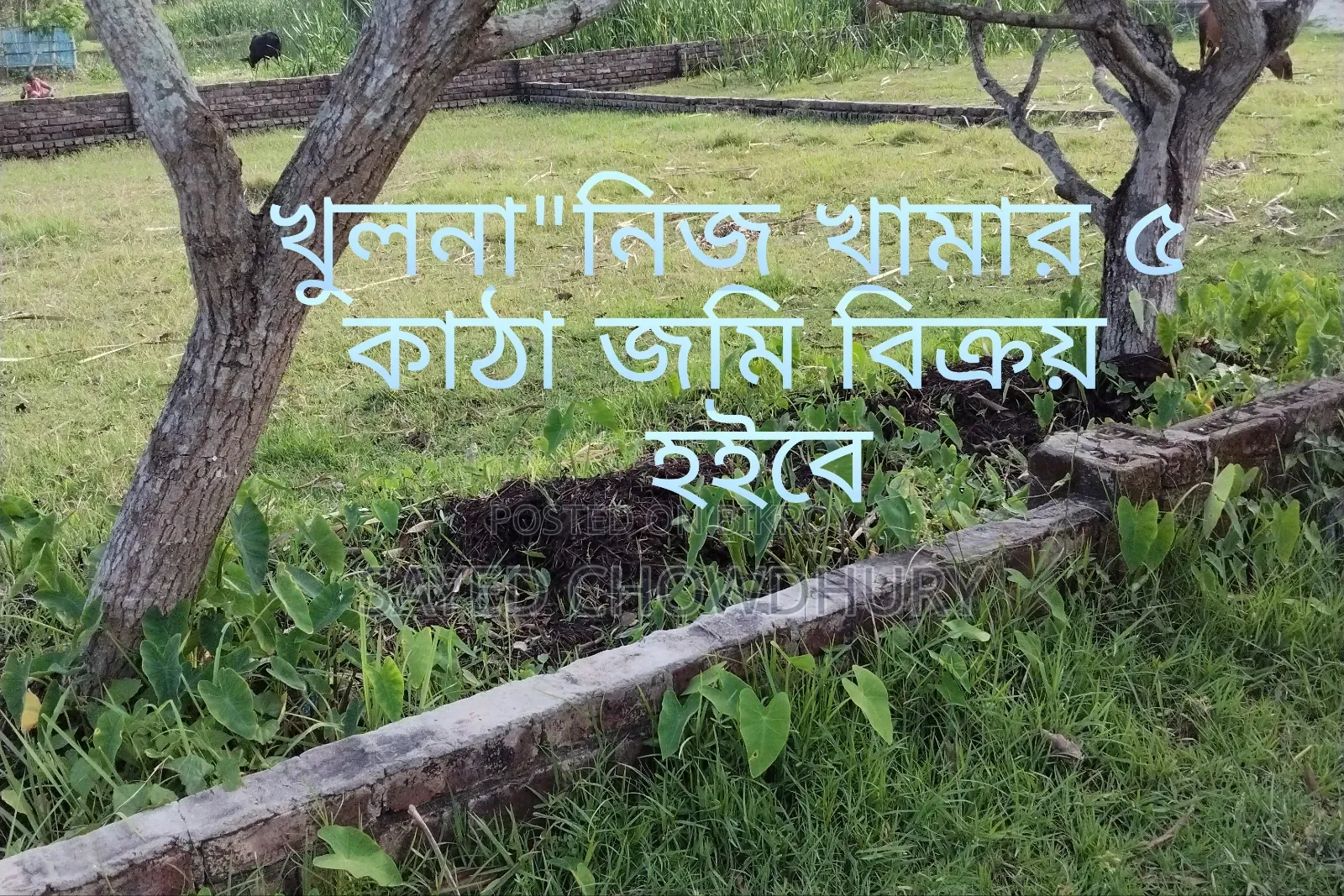 7 Katha land for sale "Nij Khamar" Khulna