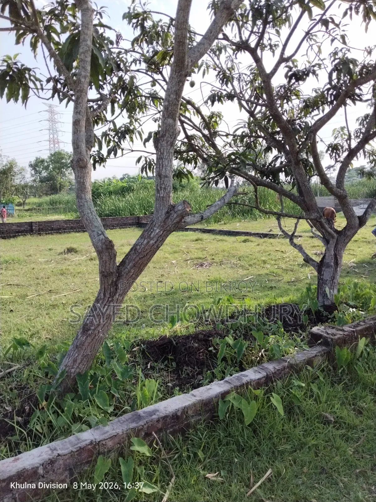 7 Katha land for sale "Nij Khamar" Khulna