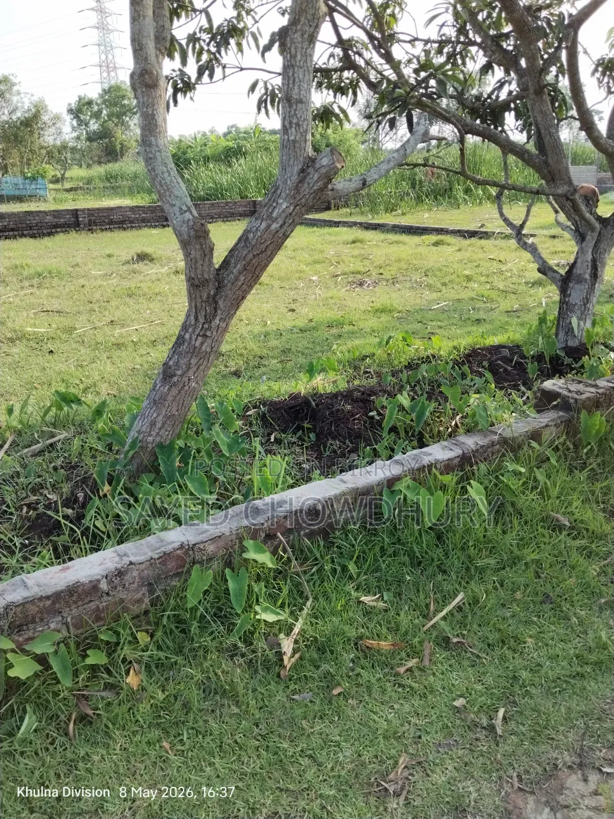 7 Katha land for sale "Nij Khamar" Khulna