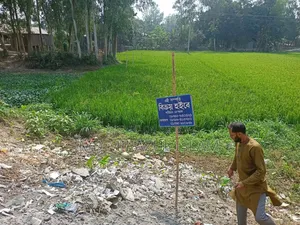 জমি বিক্রয় হইবে - গোলাপনাগর,ধনুট উপজেলা, বগুড়া