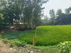 জমি বিক্রয় হইবে - গোলাপনাগর,ধনুট উপজেলা, বগুড়া
