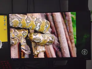 Samsung 21 Inch 75 Hz Monitor (Damaged Screen)