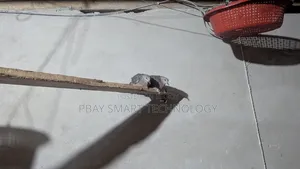 দেশি ঘুঘূ পাকি