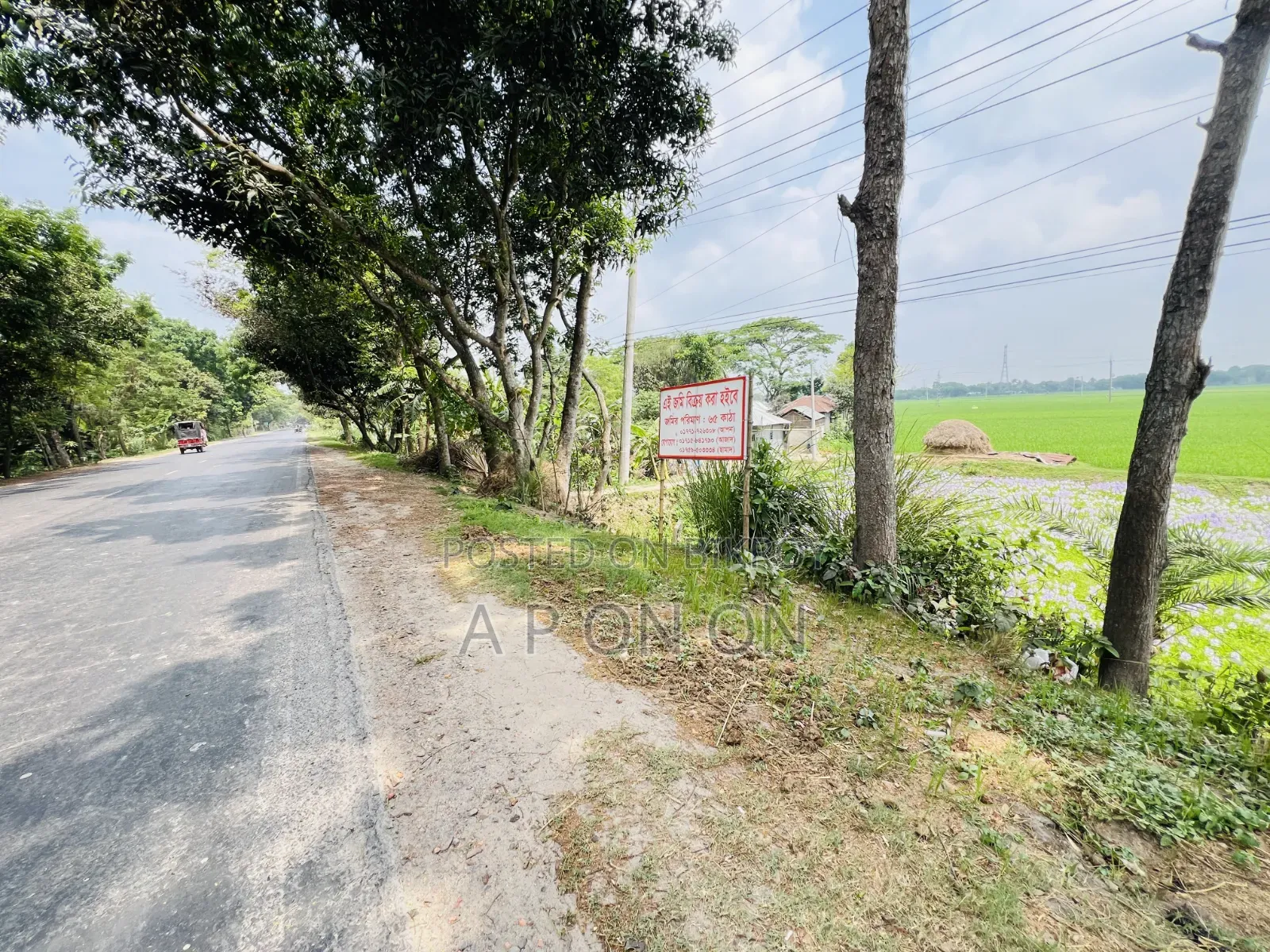 Land for sale