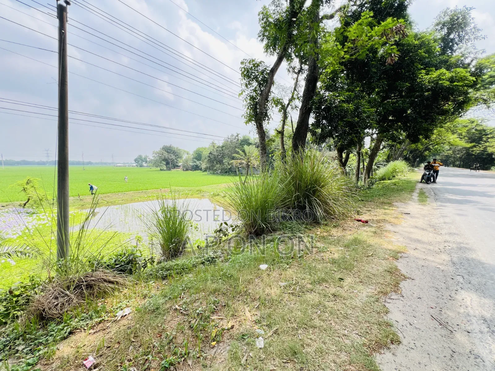 Land for sale
