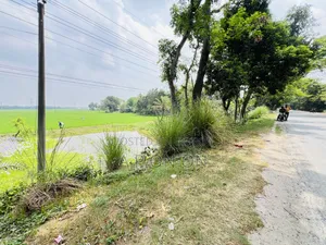 Land for sale