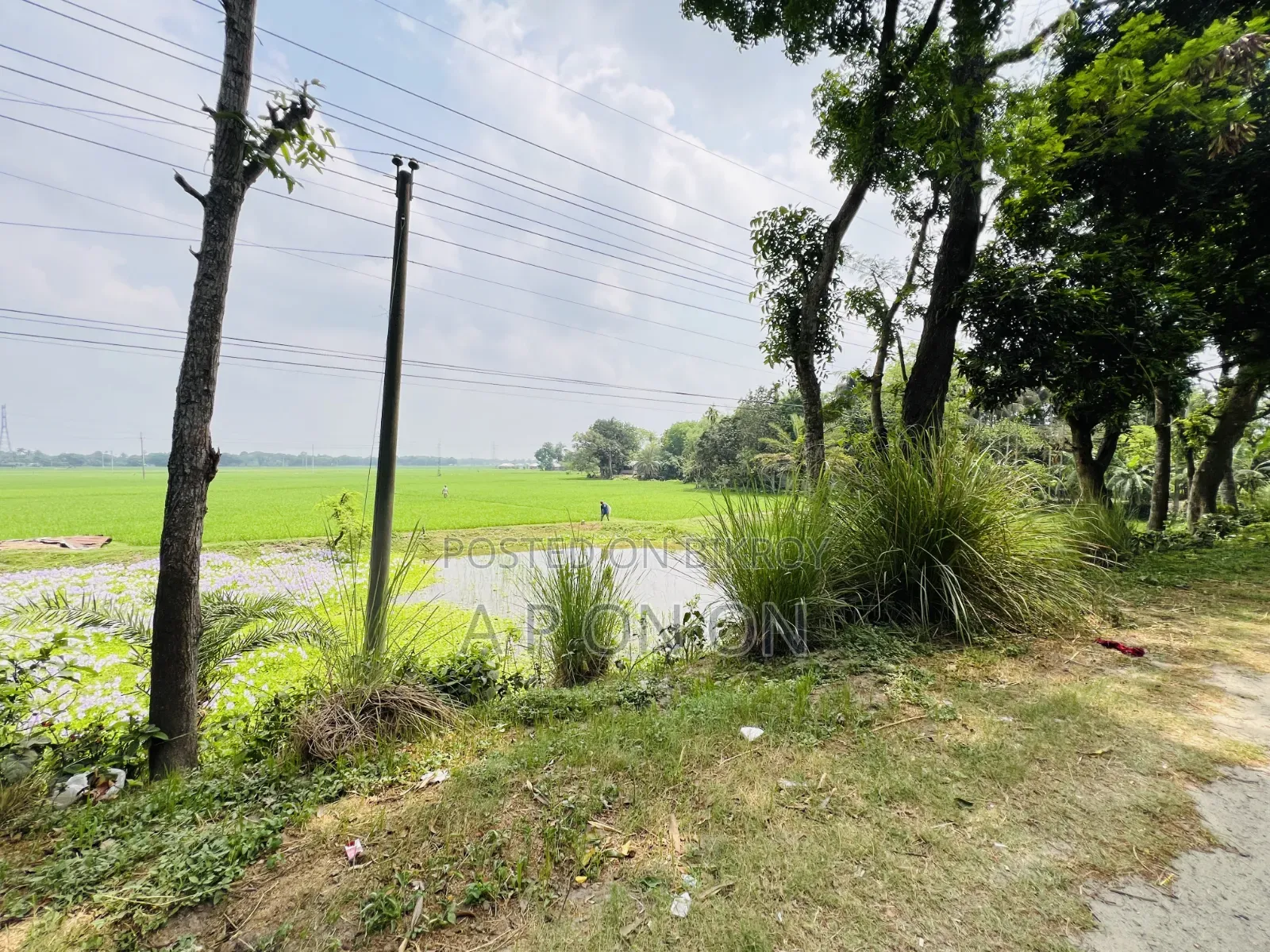 Land for sale