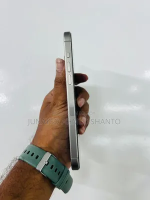 Apple iPhone 15 Pro Max 256 GB Gray