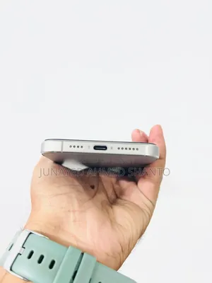 Apple iPhone 15 Pro Max 256 GB Gray