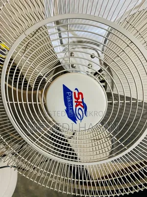 SKG 20" Pakistan Original Stand Fan