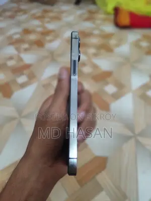 Apple iPhone 12 Pro Max 128 GB গ্রে
