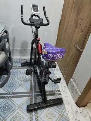 Exercise Cycle
