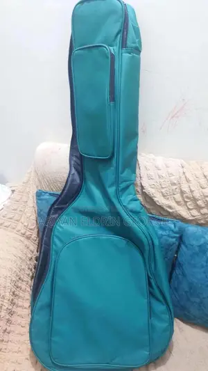 গিটার গিগ ব্যাগ