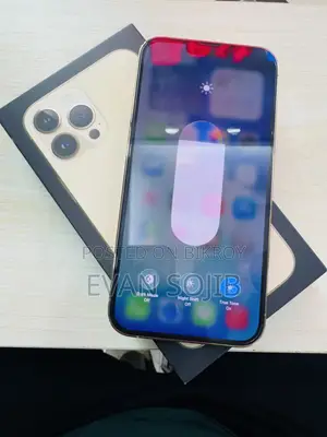 Apple iPhone 13 Pro Max 256 GB Gold