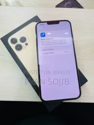 Apple iPhone 13 Pro Max 256 GB Gold