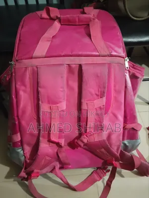 ফুডপান্ডা ব্যাগ