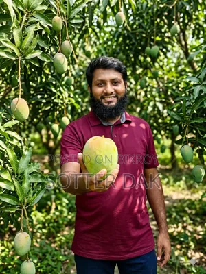 আসসালামু আলাইকুম, চলছে সুস্বাদু গোবিন্দভোগ আম এর বুকিং!