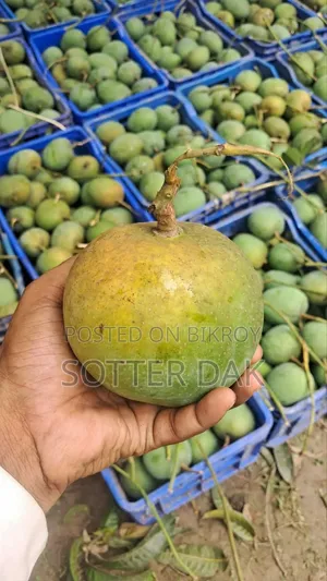 Assalamu Alaikum, Delicious Gobindobhog Mango Booking is Open!