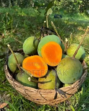 Assalamu Alaikum, Delicious Gobindobhog Mango Booking is Open!