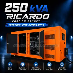 250 Kva Ricardo Diesel Generator