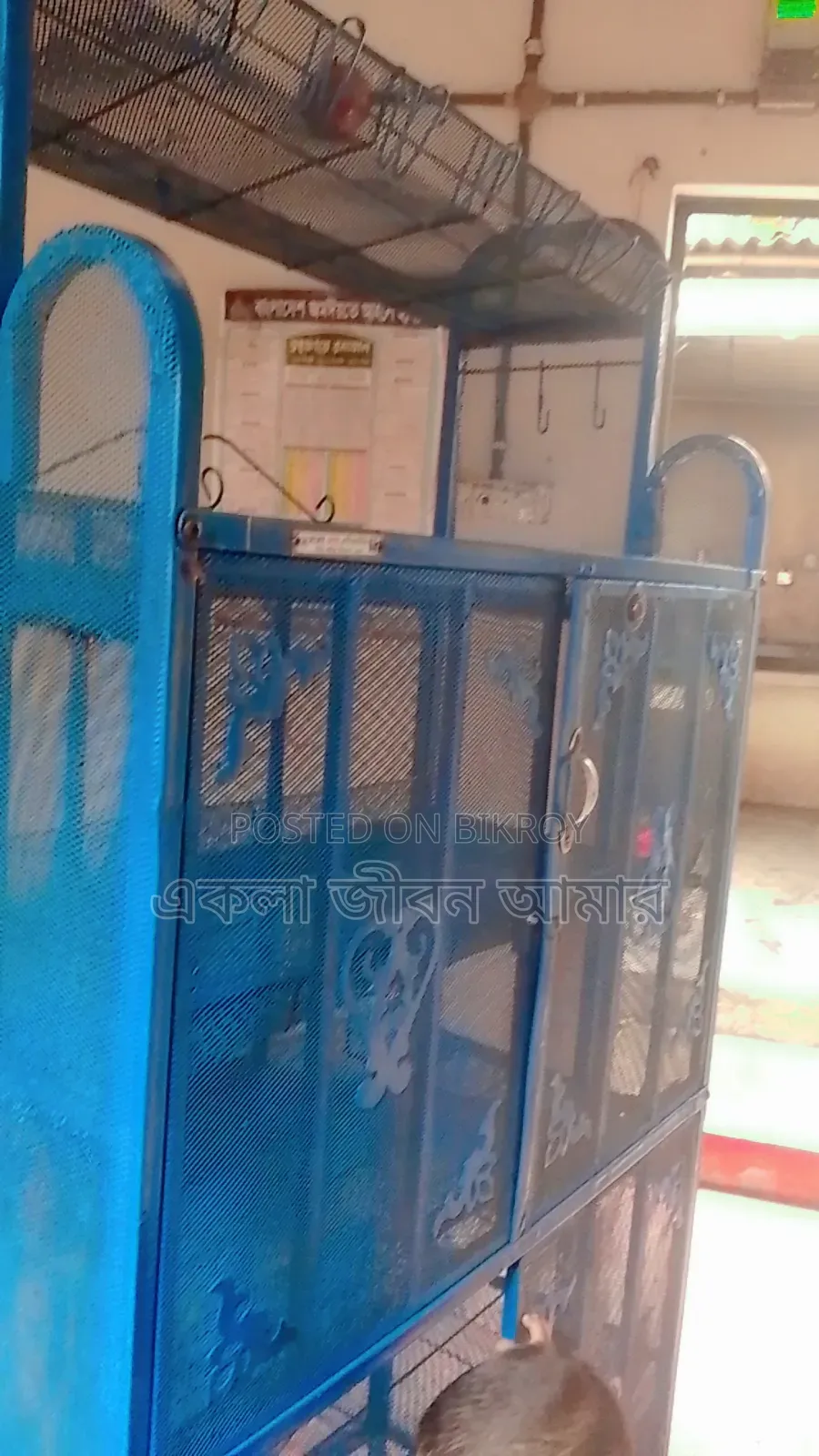 ভাতের ডুলি বার এক