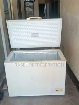 320-liter running Squire company deep fridge for sale.