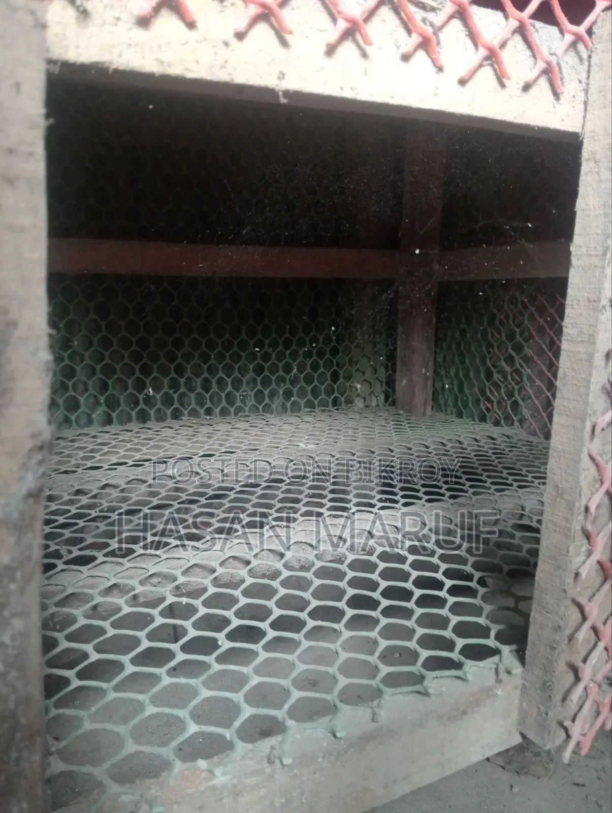 হাস মুরগির ঘর