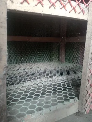 হাস মুরগির ঘর
