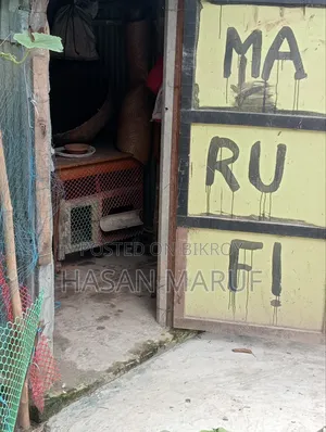 হাস মুরগির ঘর