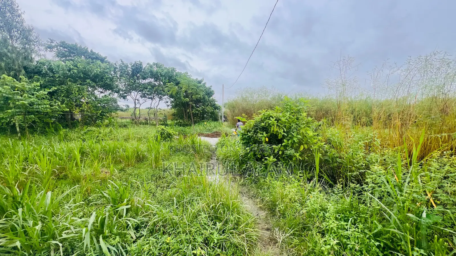গোপালগঞ্জ এসেনসিয়াল ড্রাগের পিছনে ৪.৭৫ কাঠা আবাসিক জমি বিক্রি হবে